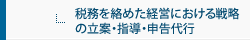 税務を絡めた経営における戦略の立案、またこれに関わる指導、申告代行
