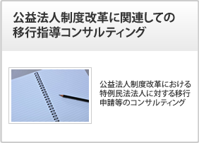 公益法人制度改革に関連しての移行指導コンサルティング