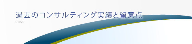 過去のコンサルティング実績と留意点