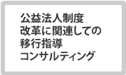 公益法人制度改革に関連しての移行指導コンサルティング