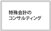 特殊会計のコンサルティング