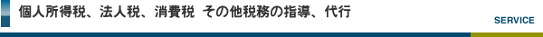 法人税その他の経営に関わる税務の指導、代行