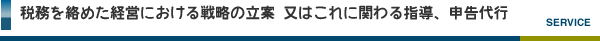 経営における特殊税務にかかる指導、申告代行