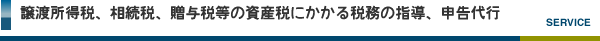 資産税にかかる税務の指導、申告代行