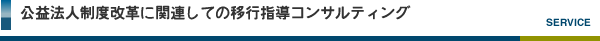 公益法人制度改革に関連しての移行指導コンサルティング