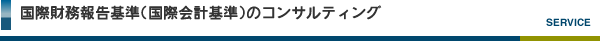 国際財務報告基準のコンサルティング